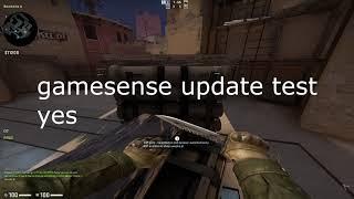 gamesense update test yes (4K)