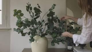 Everyday #botanicals from #afloral #interiorstyling