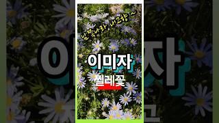 #이미자 #이미자찔레꽃 #찔레꽃 #이미자노래 #이미자노래모음 #트롯 #트롯인기가요 #트롯메들리