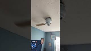 The world's craziest hugger ceiling fan #ceilingfan #crazy #funny #shorts