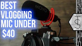 Movo VXR 10 Pro Review | Can This DESTROY The Rode VideoMicro For $50?