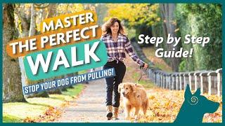 Mastering The Perfect Walk: How to STOP Your Dog From Pulling! (Step by Step)