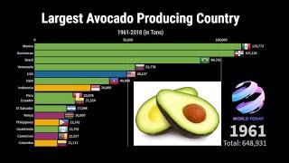 Top 15 Avocado producing country | Largest Avocado producing countries in The world