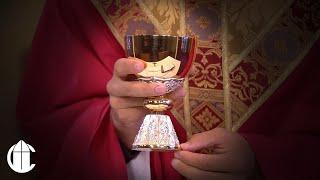 Catholic Mass Today: 6/3/25 | Memorial of Saint Charles Lwanga and Companions