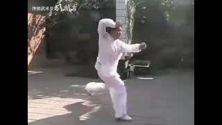 河北郭雲深派形意拳 #martialarts #kungfu