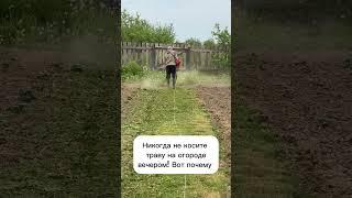 Никогда не косите траву на огороде вечером #лайфхаки #огород #садоводство