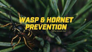 Wasp & Hornet Prevention (Yellow jackets too)