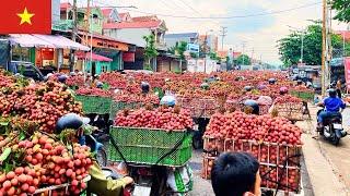 Chợ Vải 18/6/2025: Giá Vải, Cảnh Tắc Đường Sáng Sớm Tại Ngã 3 Ngĩa Hồ,TX Chũ, Bắc Giang, Việt Nam.