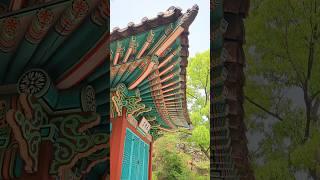 #청와대 #오운정 #ounjeongpavilion #korea
