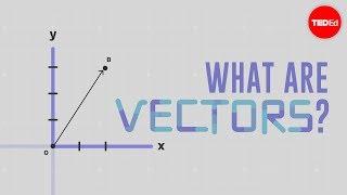 What is a vector? - David Huynh