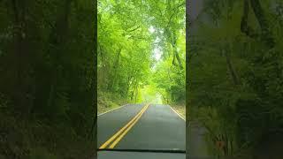 Over the hill and through the woods... #driving #nature #naturelovers