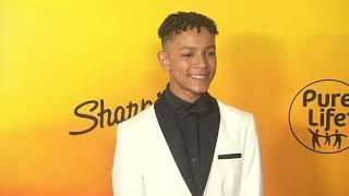 Mufasa: The Lion King: World premiere red carpet b-roll | ScreenSlam