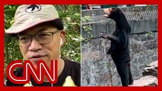 Biologist weighs in on the viral sun bear video from Chinese zoo