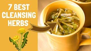 7 Strong Herbs For Natural Body Detox & Cleanse (Perfect for Tea)