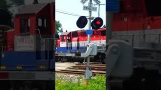 Rare EMD GP 40X engine on CSX train.