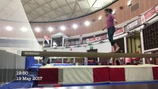 My first year of adult gymnastics