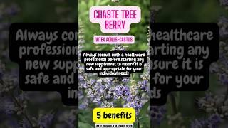 5 health benefits of chaste tree berry #shorts #chastetreeberry #herb #healthbenefits
