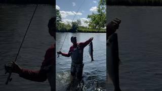 Камчатка 2024 день41 голец #камчатка #fishing #ярик_рыбак #рыбалка #чавыча #trout