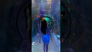  Don’t twirl in the aquarium tunnel  #aquarium #mermaid #performer #viral #transition #h2o #swim