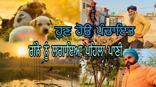 ਹੁਣ ਹੋਉ ਪੰਚਾਇਤ , ਗੰਨੇ ਨੂੰ ਲਗਾਇਆ ਪਹਿਲਾ ਪਾਣੀ 4K #punjab #malkeetbai #kalamahalvlogs #farming #india