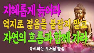 나이 듦의 지혜 #중년의지혜 #인생이야기 #조용한성장 #삶의깊이 #시간의선물