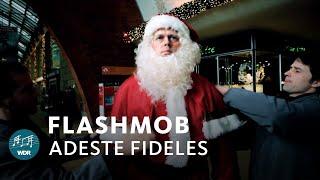 Chor-Flashmob: Adeste fideles | WDR Rundfunkchor