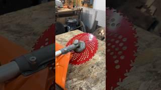 Circular Saw BLADE on Trimmer !? #trimmer #circularsawblade #blade #trimmerhead #grass