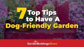 How to Make Your Garden Dog Friendly - 7 Useful Tips