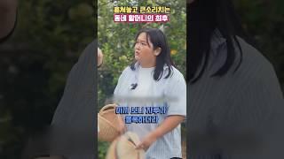 사과 훔쳐놓고 적반하장으로 나오는 할머니의 최후