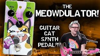 The Meowdulator: World's First Guitar Cat Synthesizer by B's Music Shop & Cusack Music