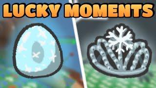 Snow Tiara! Lucky Moments - Bee Swarm Simulator