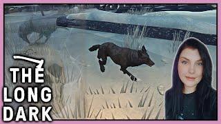 Is This A Mistake - The Long Dark (Survival Mode Interloper)
