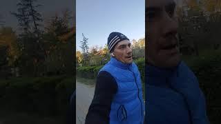 Азов братик #mountains #music #авто #юмор #собака