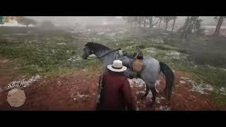 RDR Online RTX 4090 & i7 13700k 5160x2160 4k 21:9