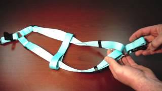 Step-in-Harness - Twisted Harness Correction