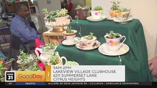 Lakeview Village Holiday Craft Fair in Citrus Heights