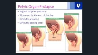 Urogynecology