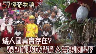 【網路獨播版】哈佛證實不假 矮人國恐真實存在？/巨人存在證據曝！/山海經謎團「一目國」真實存在？/泰國版倩女幽魂 樹妖成精幫人實現願望？【57怪奇物語】@57StrangerThings