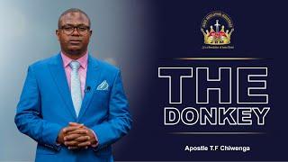 The Donkey  |  Apostle T.F Chiwenga  |  Prayer Retreat - Day 3  |  31 August 2024  |  Third Segment