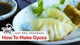 How To Make Gyoza (Japanese Potstickers) (Recipe)  餃子の作り方 (レシピ)