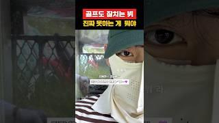 골프도 잘치는 뷔 진짜 못하는게 뭐야 #jhope #bts #방탄소년단 #hobi #btsarmy #jhopebts #제이홉 #정호석 #뷔 #rm #김태형