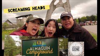 Almaguin Campground || Screaming Heads