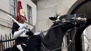 Unruly Moments: Tourists vs. Regal Steeds at Horse Guard!"  HorseGuardDrama