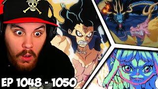 One Piece Episode 1048, 1049 1050 Reaction - THE HYPE DON'T STOP IN WANO