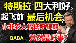 【特斯拉四大利好来袭】股价止跌下一目标剑指303？伏击战到了最关键时刻，还可以买吗，多少钱买最好？小非农大幅低于预期，降息预期增加，美股下跌要结束？ #美股 #股哥说美股 #tesla #马斯克