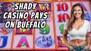 Shady Casino Pays Out On Buffalo Gold Slot Machine #2024 #4k