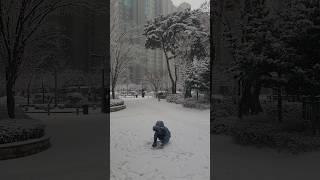 하얀세상 속 하얀설^^️소중해️