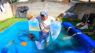 VEJA OS NOVOS PEIXES DO LAGO SELVAGEM esse são poucas pessoas que tem