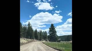 Santa Fe National Forest via the NM-126