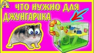 ДЖУНГАРСКИЙ ХОМЯК / ЧТО НУЖНО  ДЛЯ ЕГО ПОЯВЛЕНИЯ? / дом ДЛЯ ХОМЯЧКА / КЛЕТКА ДЛЯ ХОМЯКА / АЛИСА ИЗИ